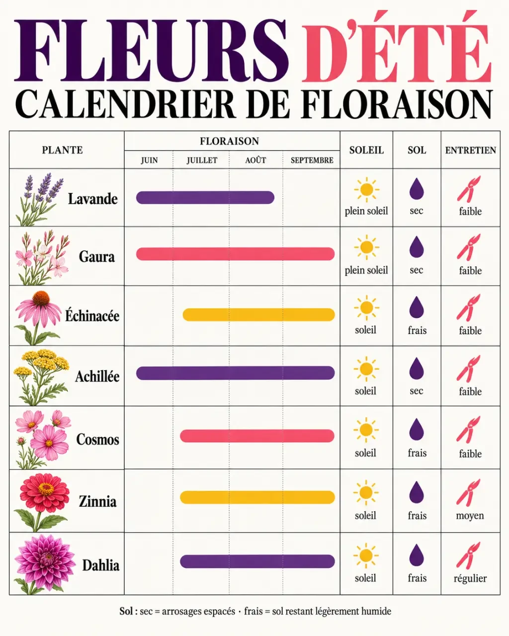 Fleurs de jardin d'été classées selon la floraison, l'exposition et les besoins en eau